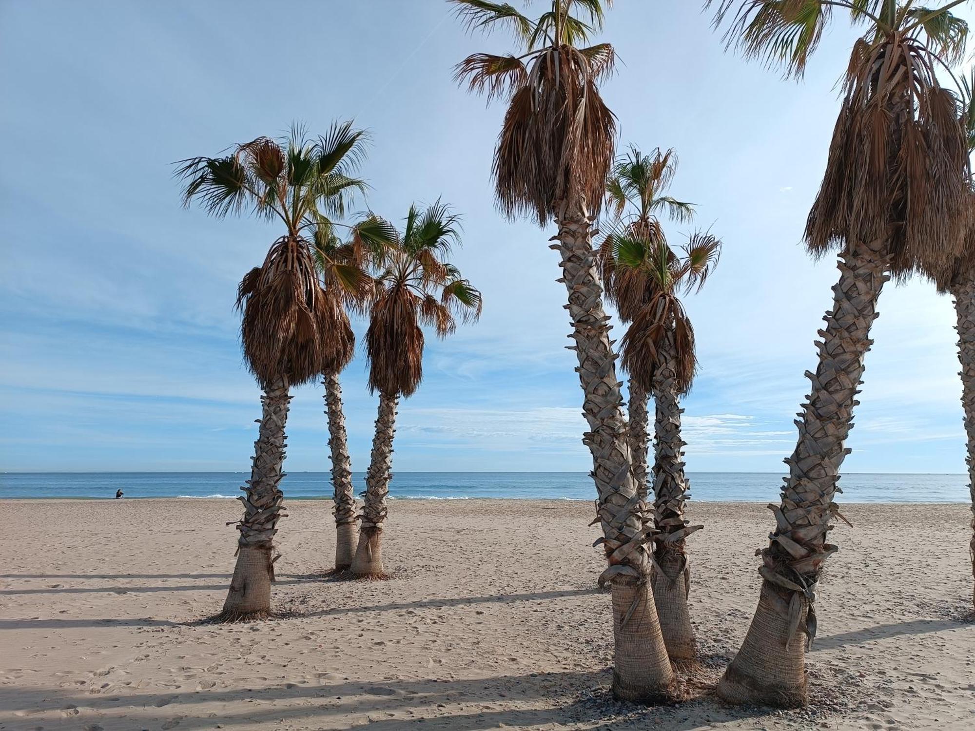 Playa Cannet 20 Km Valencia Piscina Tennis 카넷드버렝구어 외부 사진