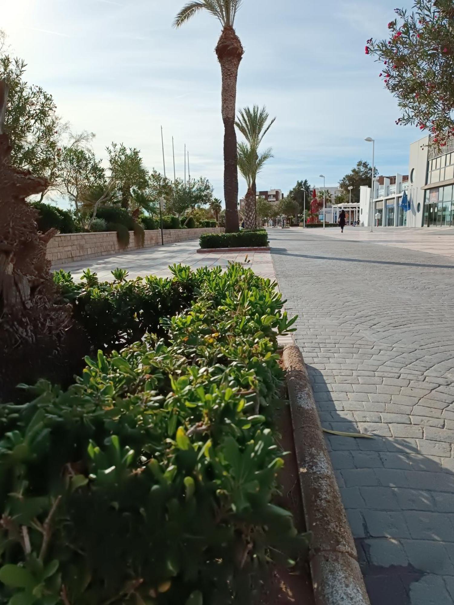 Playa Cannet 20 Km Valencia Piscina Tennis 카넷드버렝구어 외부 사진